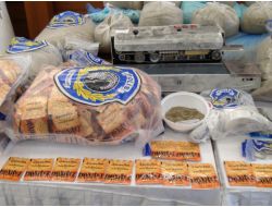 İstanbul Polisinden 'Bonzai' Operasyonu