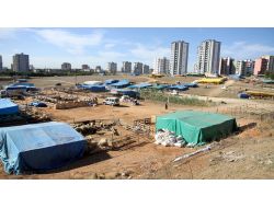 Çukurova’da Kurban Satış Ve Kesim Yerleri Belirlendi