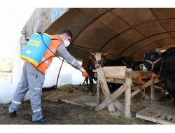 Kurban Satış Ve Kesim Yerleri İlaçlanıyor