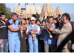 Lisinia’da, Kuşlar Dünya Barışı İçin Doğaya Bırakıldı