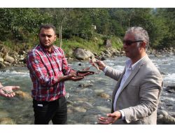 Rize Toplu Balık Ölümleri