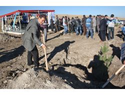 Kars İl Gard Üyeleri 400 Fidan Dikti