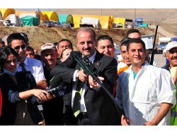 Mamak Belediyesi' Nden Kurbanlıklara Gebelik Testi