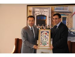 Kalkınma Bakanı Yılmaz: Samsun'da 4 Milyar Tl Proje Stoku Var