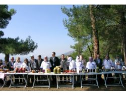 Niksar’da Organik Gıda Üretimi Yaygınlaşıyor