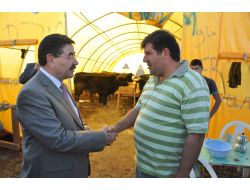 Başkan Odabaşı Kurban Alanını Denetledi