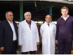 Tarım İl Müdürü Çelik, Kurban Pazarlarını Denetledi