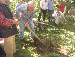 Fındık Üreticilerine Uygulamalı Budama Ve Toprak Analizi Eğitimi