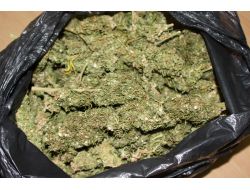 Osmaniye'de Uyuşturucu Operasyonu