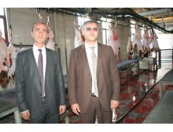 Randevu Sistemi İle Kurban Kesimi Yapılacak