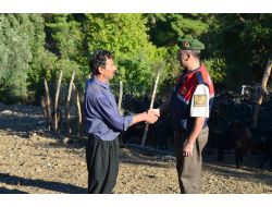 Jandarma Kaybolan 371 Hayvanı Sahiplerine Teslim Etti