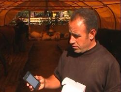 Kurbanlık Satışında Promosyon Dönemi: Dana Alana Koç Bedava