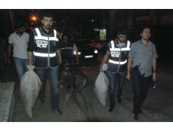 Zehir Tacirlerine Gece Yarısı Darbesi