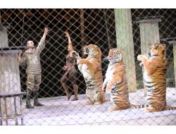 Büyük Ankara & Moskova Sirki, Bayramda Gösterilerine Başlıyor