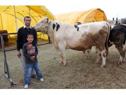 Üreticiler, Kurban Pazar Yerinin Tabela Ve Ulaşımla Desteklenmesini İstiyor