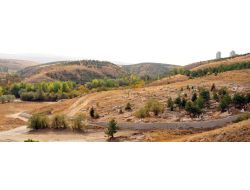 Mamak'ta Mezarlıklar Bayram İçin Temizleniyor