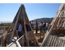 Lisinia, Kansere Karşı Savaş Başlattı