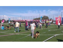 K-9'lar Çekmeköy'de Yarıştı