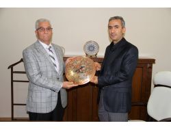 Bayramoğlu: Sürücü Kurslarının Eğitim Ve Sınav Sistemi Yeniden Düzenlenmeli