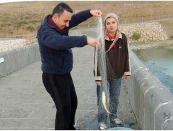 Tarihi Murat Köprüsü'nde Balık Keyfi