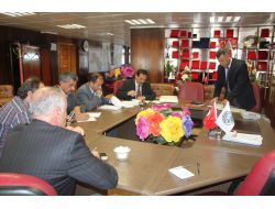 Muş Belediyesi Odun, Kömür Alımı İçin İhaleye Çıktı