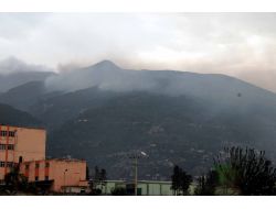 İskenderun'da Yangın Kontrol Altına Alndı