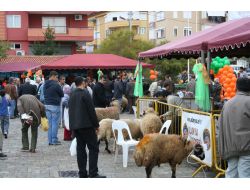 Alanya Belediyesi'nden Ücretsiz Kurban Kesimi