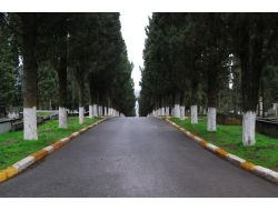 Arife Günü Mezarlıklarda Gül Dağıtılacak