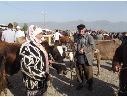 Kurbanlıklara Hanım Eli