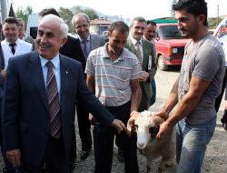 Giresun Valisi Şahin, Kurban Pazarını Denetledi
