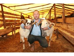 Kurbanına Eziyet Edenler Yandı