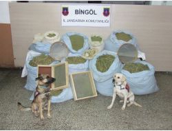 Bingöl'de Yıl İçerisinde 9 Ton Esrar Ele Geçirildi