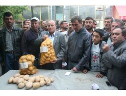 Derinkuyulu Patates Üreticisi Başbakan'a Kargo İle Patates Gönderdi