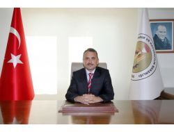 Zeytin Hasadı Kaliteyi Etkiliyor