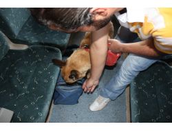 Kurtalan Ekspresi'nde Arama Yapıldı