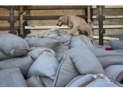 Kaçak Çayın İçinden Eroin Çıktı!