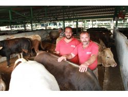 Bursa'daki Kurbanlık Satıcıları Satışların Azlığından Dert Yandı