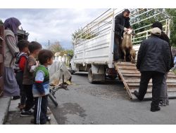 Kaymakam, Yetim Ve Öksüzleri Unutmadı