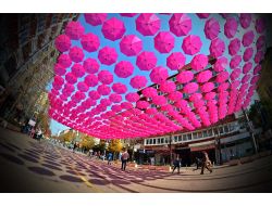 Meme Kanserine Karşı Pembe Şemsiye