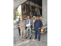 İhtiyaç Sahiplerine 50 Kurbanlık Dağıtıldı