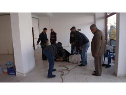 Kurban Olmaktan Kaçarken, Mundar Oluyordu