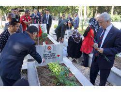 Şehit Annesi Mezarlığa Oğlunun Kuşuyla Geldi