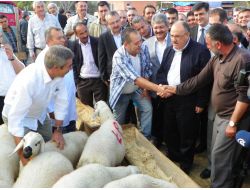 Atalay: Suriye'de Silahların Susması Memnuniyet Verici