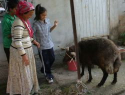 İhtiyaç Sahibi Ailelerin Yüzü 'Hediye Kurban' İle Güldü