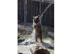 Değmeyin Duman'ın Banyo Keyfine