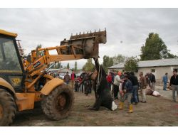 Bayram Namazı Ardından Vatandaşlar Kurbanlıklarını Kesti