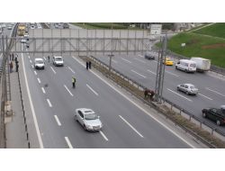Kurbanlık Boğa Tem'de Trafiği Aksattı