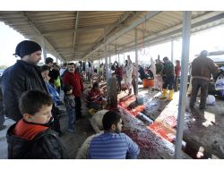 Hayvan Pazarında Kesim Kuyruğu