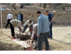 İzmir'de Vatandaşlar 40 Merkezde Kurbanlarını Kesiyor