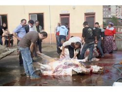 Vakfıkebirliler Rahat Kurban Kesti